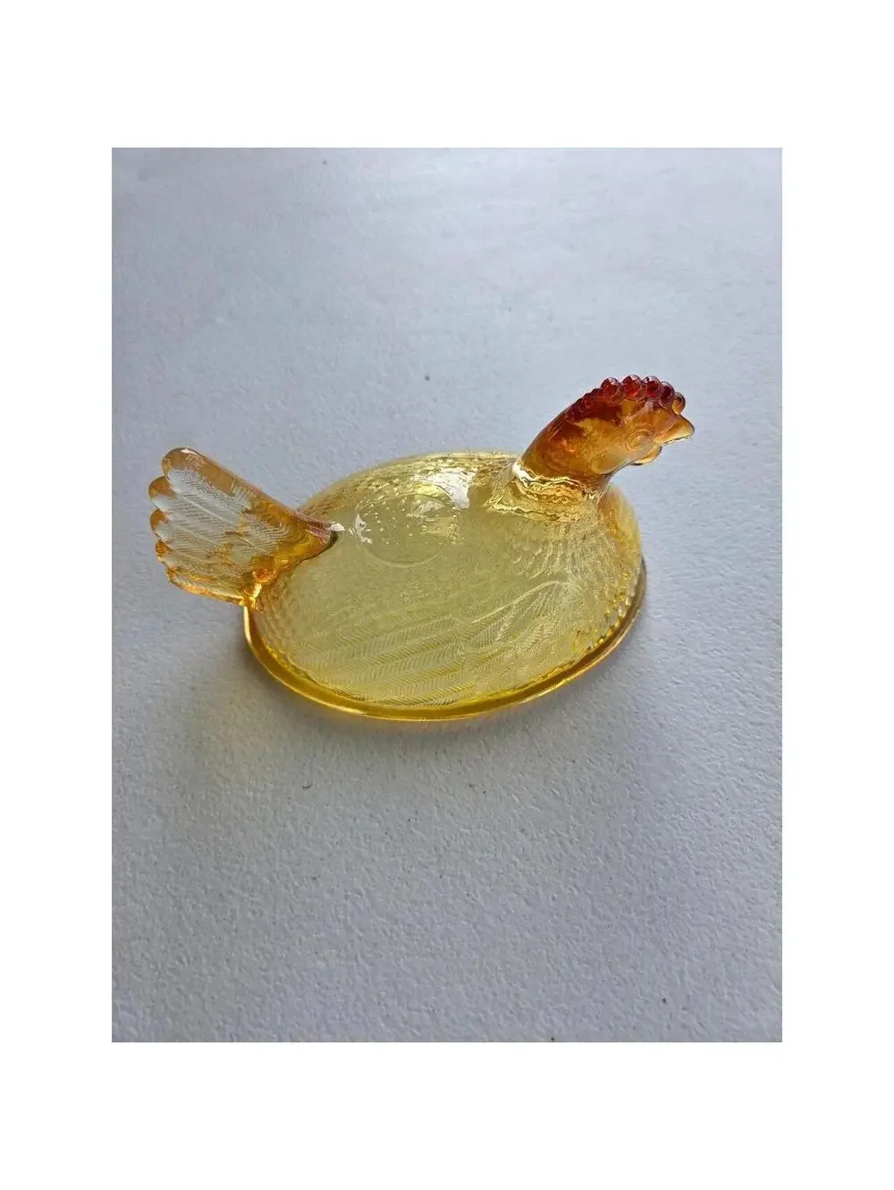 Indian Glass Hen on Nest